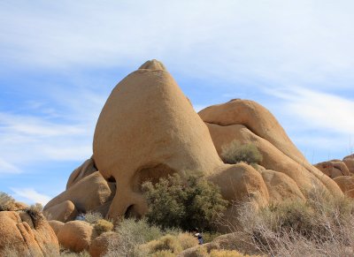 skull-Rock-at-jumbo-rocks.jpg