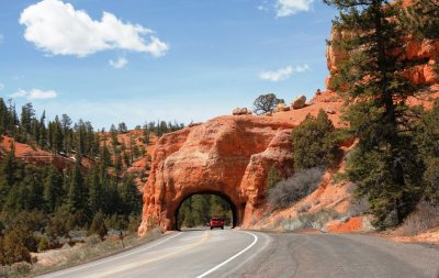 Dixie National Forest.JPG