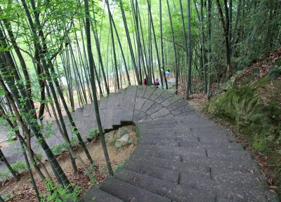 bamboo-road.jpg