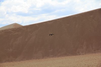 great sand dunes4.jpg