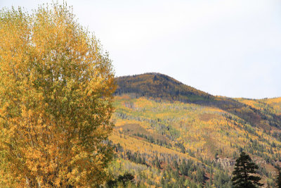 painted-with-fall-color.jpg