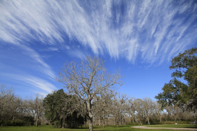 Brazos-Bend-State-Park.jpg