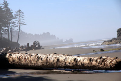 La-Push-2nd-beach.jpg