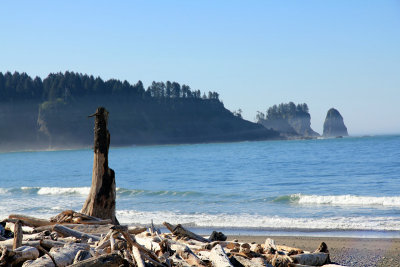 La-push-1st-beach.jpg