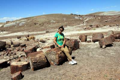 Petrified forest NP-1.jpg