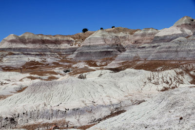 petrified_forest_national_park