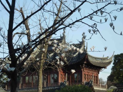 Old Shanghai