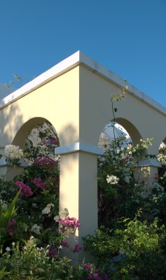 Arches