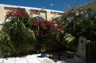 Courtyard Detail