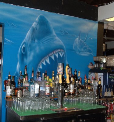 Sharkbite Restaurant Bar