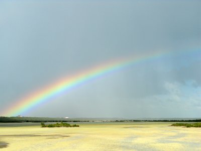 Somewhere Over The Rainbow