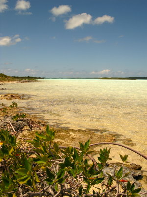 Chalk Sound