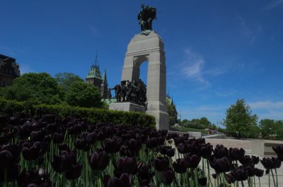May 2011 Ottawa, ON