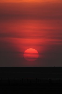 Texel sunset