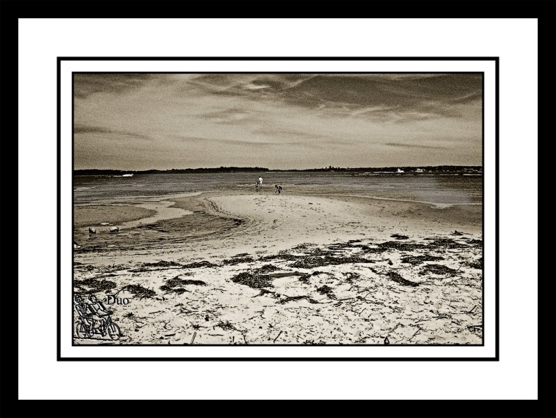 Fossicking-At-The-Beach.