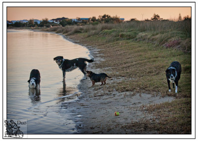 Were-ready!!!-Hurry-Up-Throw-The-Ball.