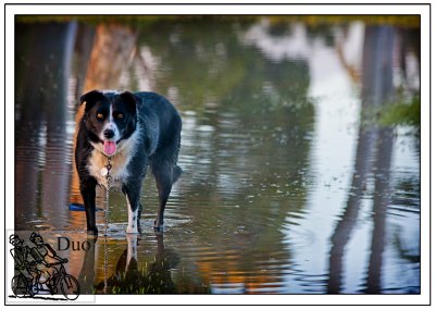 Jack-Cooling-Off.