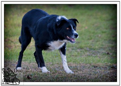 Get-ready-Jack-It's-Your-Ball-This-Time.