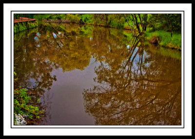 Harvey-River-Reflections.