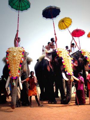 kerala, south india