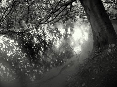20110726_673.JPG