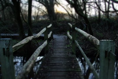 walk in the morning dew