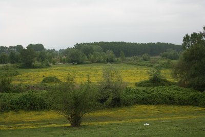Meadows near Kerkini