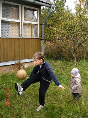 161.jpg