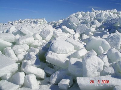 216.jpg