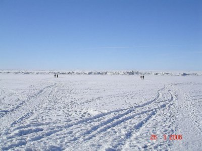 221.jpg