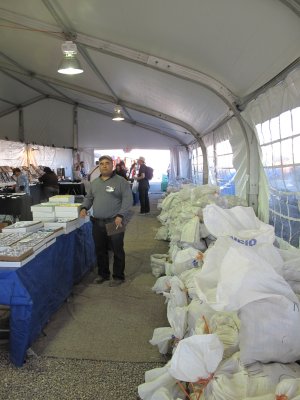 Tons of geodes with Hector jr.