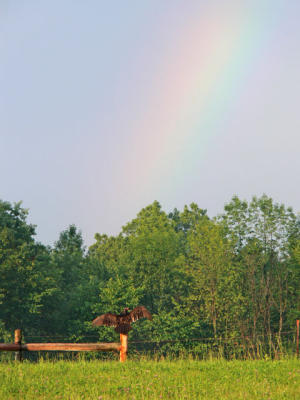 Honoring the Rainbow