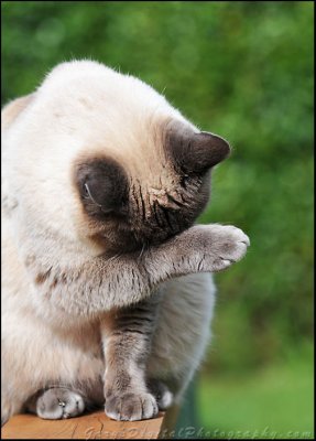 Oh No!  I didn't need to see that!