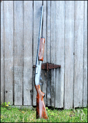 remington_870_03_1196.jpg