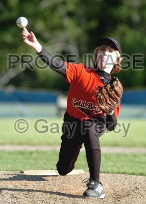 Little League Baseball 2006