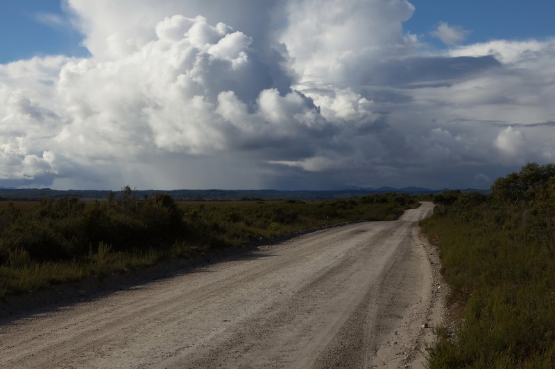 Clouds, Late Afternoon