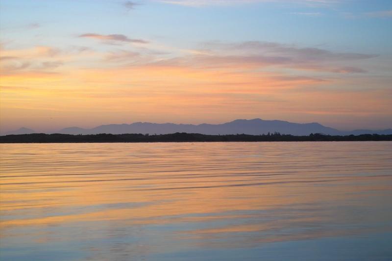 IMG06200.jpg