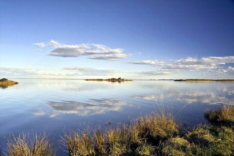 Timber yard Point - Lake Ellesmere