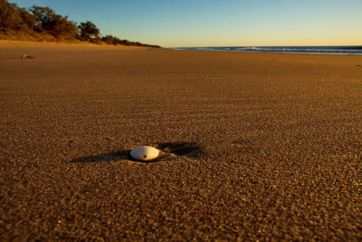 Agness Waters Beach - Sunsrise