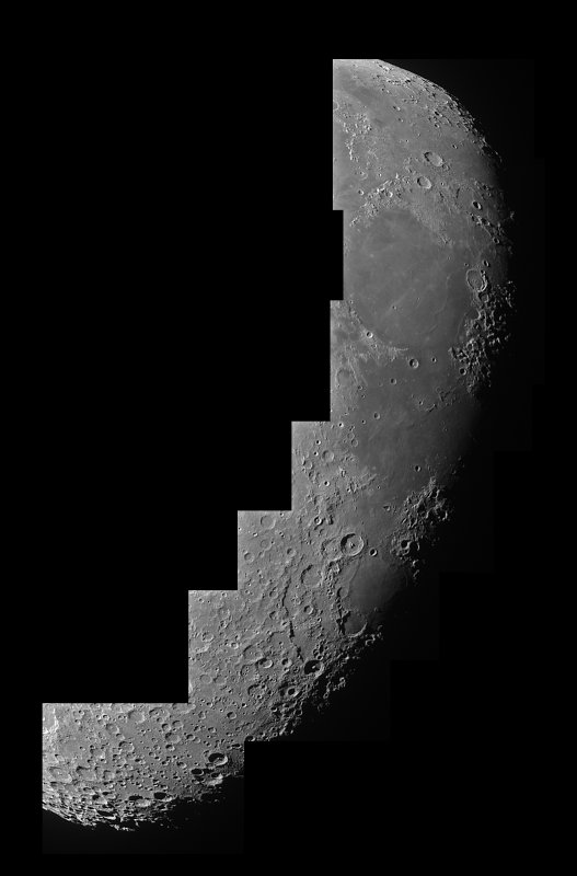Terminator Mosaic: 7/8/12