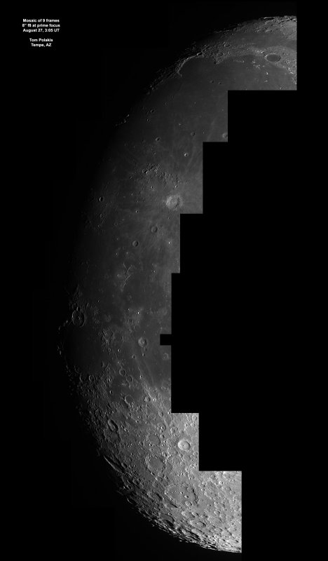 Terminator Mosaic: 8/28/12