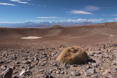 Monturaqui Impact Crater with a place for your Mother-in-law to sit (Cumulopuntia boliviana (ssp. ignescens)