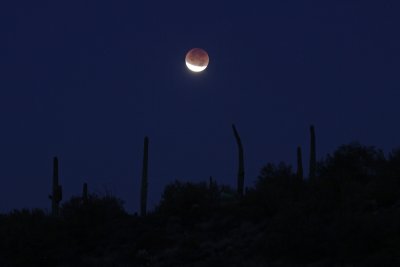 Lunar Eclipse from Table Mesa Road -- December 10, 2011