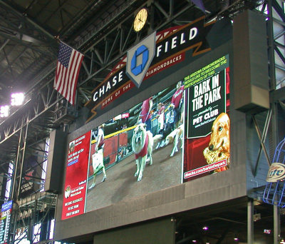 Rascal on the Jumbotron