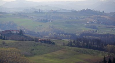 Soft, Hazy, Piedmonte region of Italy