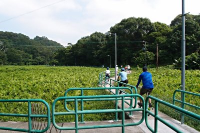 PA232487.jpg
