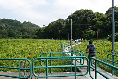 PA232489.jpg