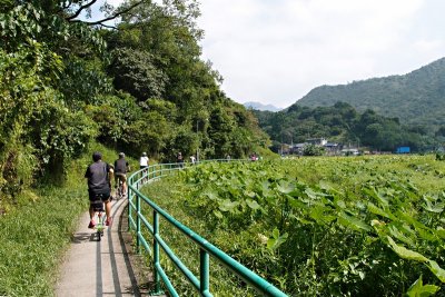 PA232496.jpg