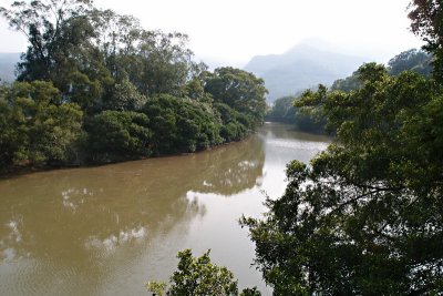 PA232584.jpg