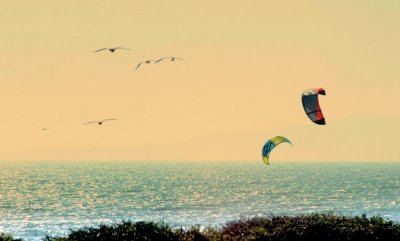 Kites and Windsurfers